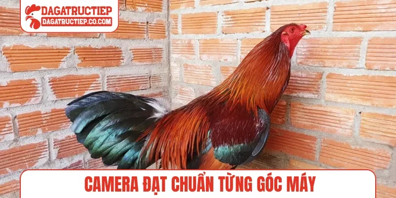 Camera đạt chuẩn từng góc máy